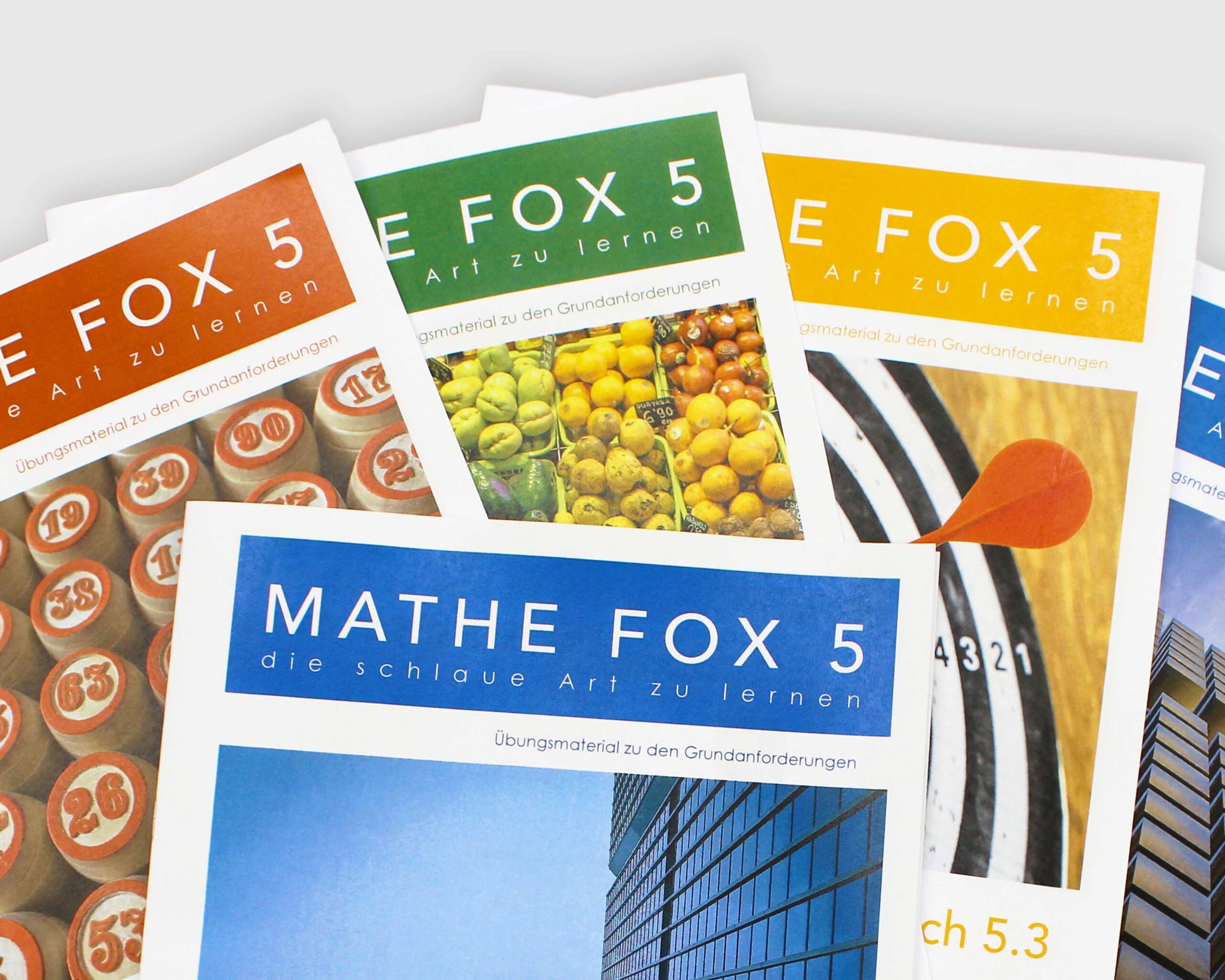 MATHE FOX 5 – Mathe Aufgaben und Übungshefte für die 5. Klasse